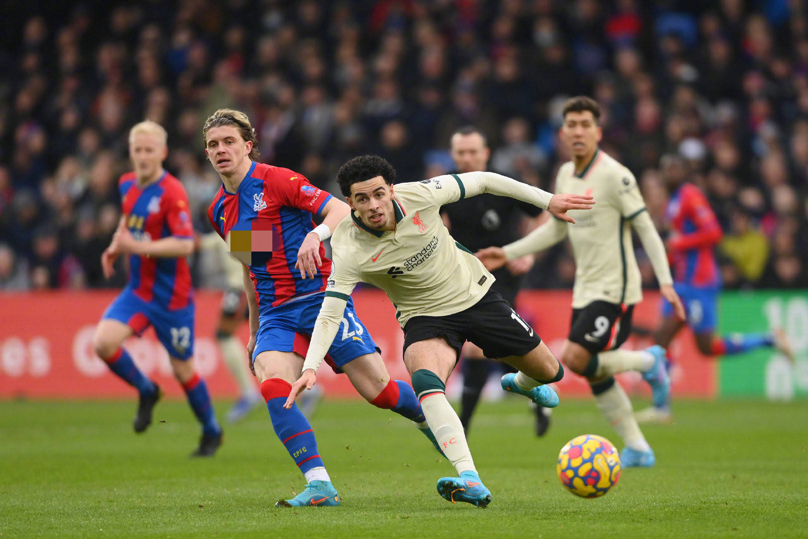 了極大的困 了極大的困