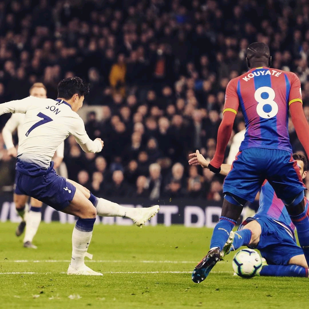 仅展现了他 仅展现了他